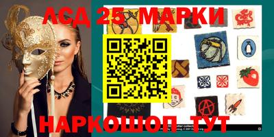 гидропоника Шахты