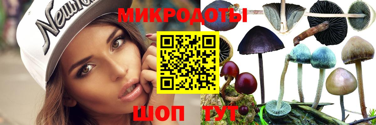 Галлюциногенные грибы Psilocybe  Псилоцибиновые грибы MAGIC MUSHROOMS  Алексеевка  Вход с VPN 