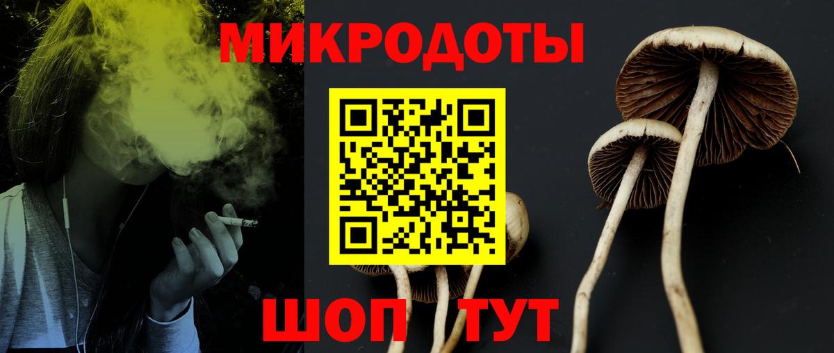 Галлюциногенные грибы Psilocybine cubensis Алексеевка